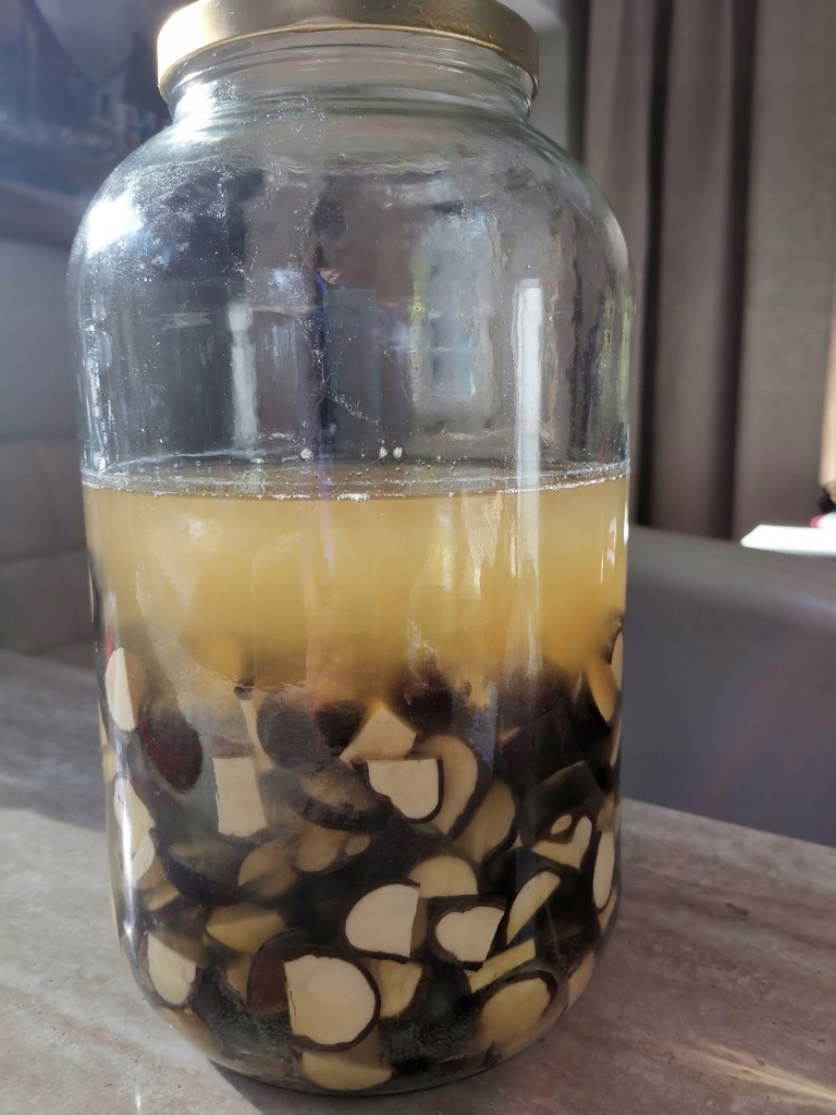 Maść z kasztanów - obrazek 4