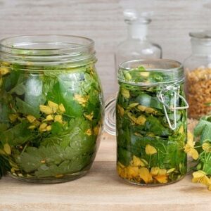 Olej z glistnika jaskółcze ziele 10ml