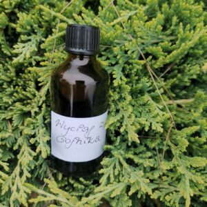 Wyciąg z gojnika na gronkowca 50ml