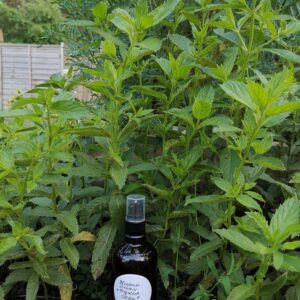 Hydrolat ziołowy ,,Piękna cera”