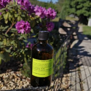 Ziołoocet lawendowy do włosów cienkich