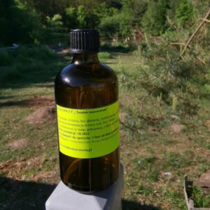 Ziołoocet skrzypowo-rozmarynowy na porost włosów