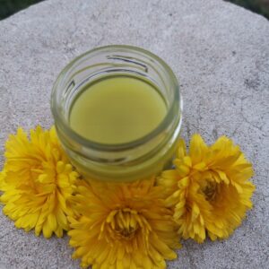 Maść nagietkowa na wosku