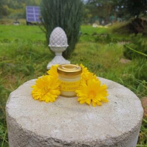 Maść nagietkowa na smalcu wg Treben