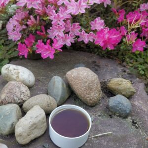 Maść przeciwnużeńcowa