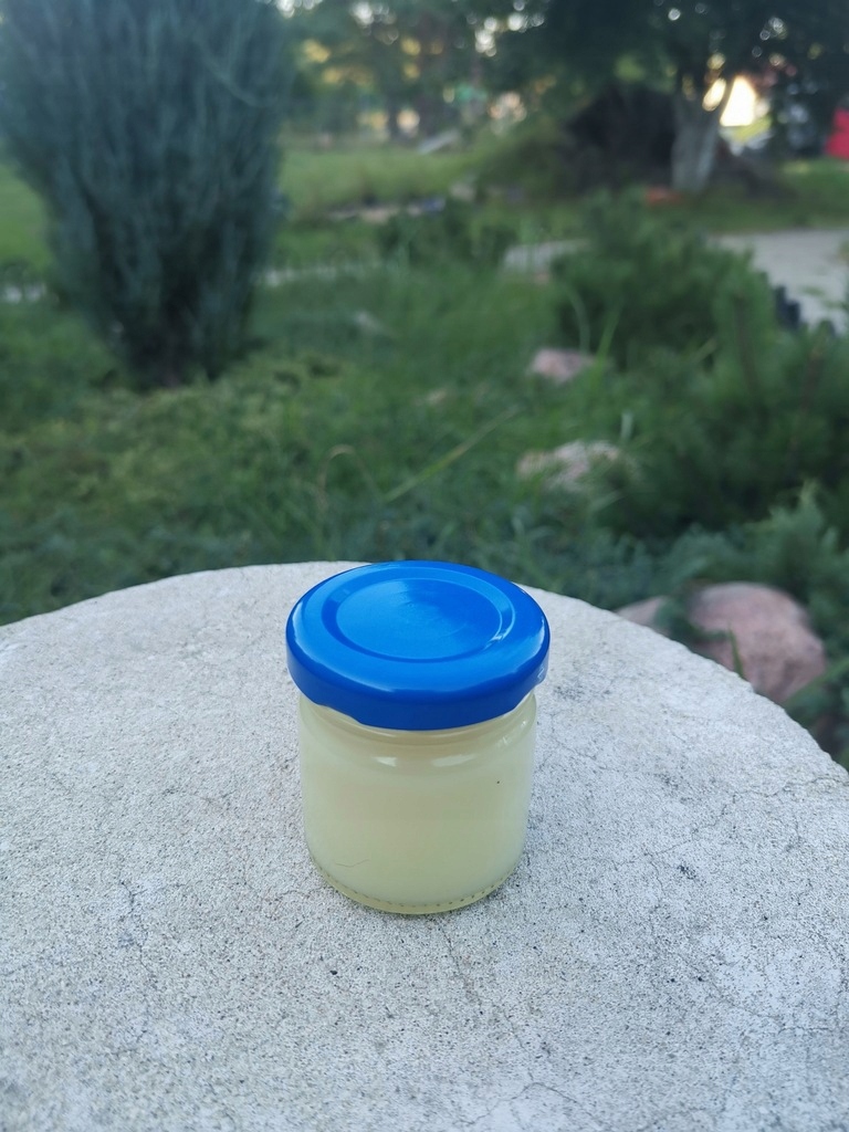 Maść z kasztanów - obrazek 2