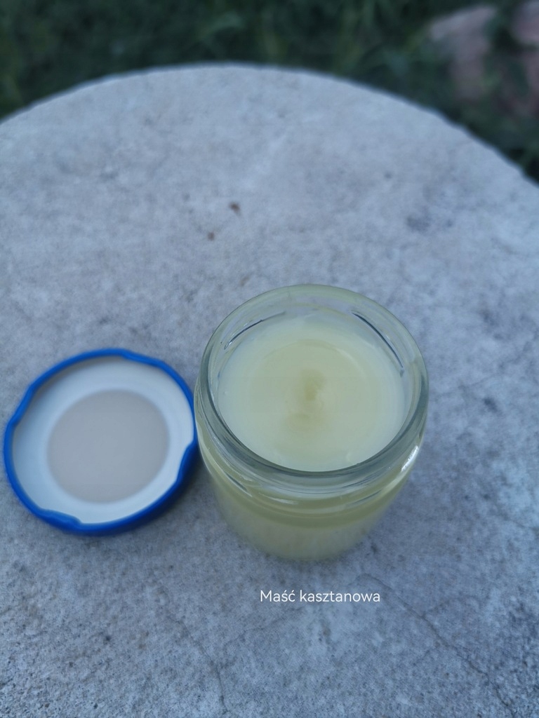 Maść z kasztanów - obrazek 3