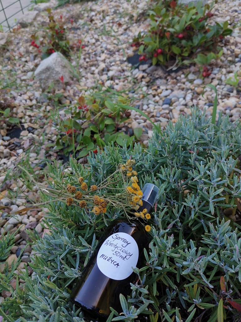 Spray wrotyczowy na nużeńca ULGA - obrazek 3