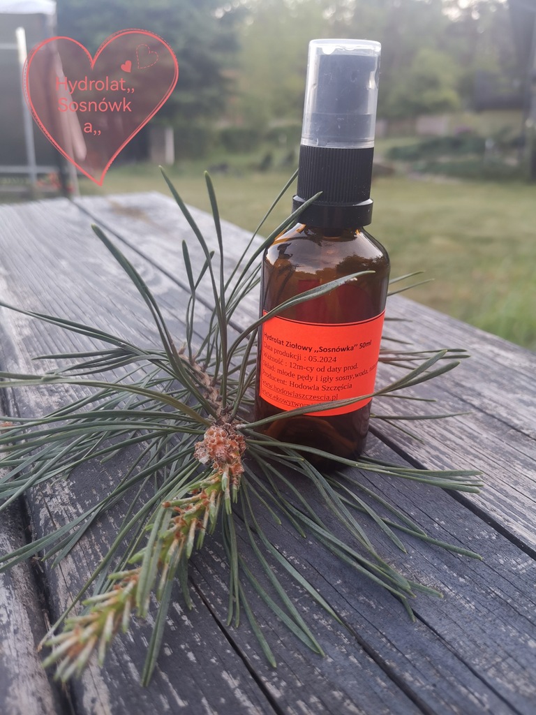 Hydrolat z sosny ,,Sosnówka" - obrazek 3