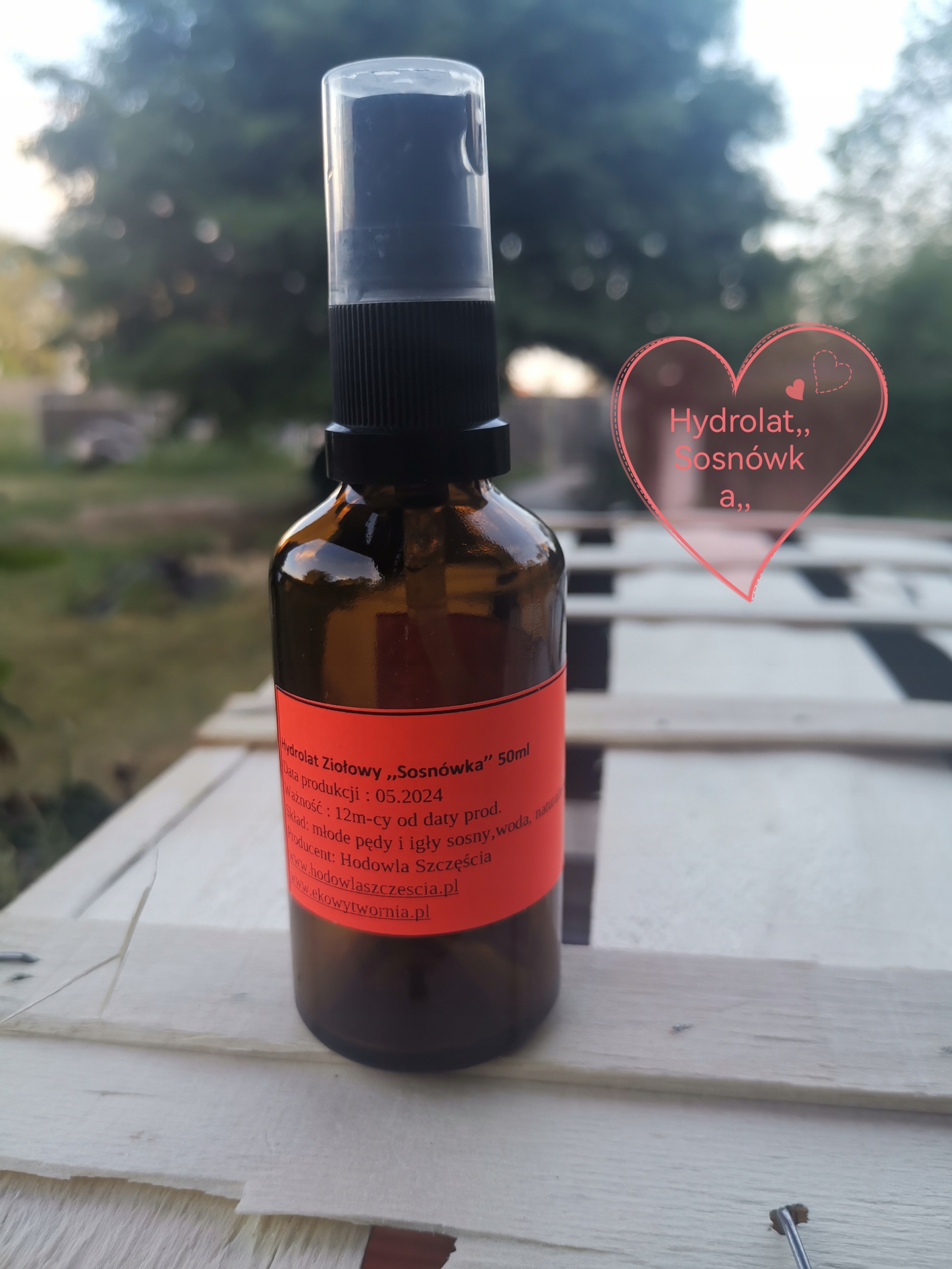 Hydrolat z sosny ,,Sosnówka" - obrazek 2