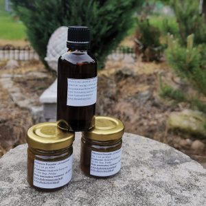 Zestaw na gronkowca: mikstura pszczela 2szt + krwiściąg