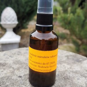 Zapalenie mieszków włosowych ,,Rozmaryn”