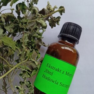 Wyciąg z mięty 20ml