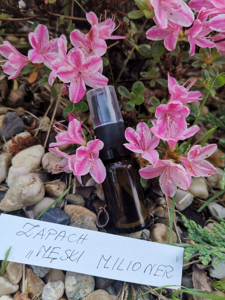 Naturalne pachnidło w olejku ,,Pan Milioner" - obrazek 3